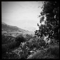 /album/hipstamatic/fullsizerender-17-large-jpg/